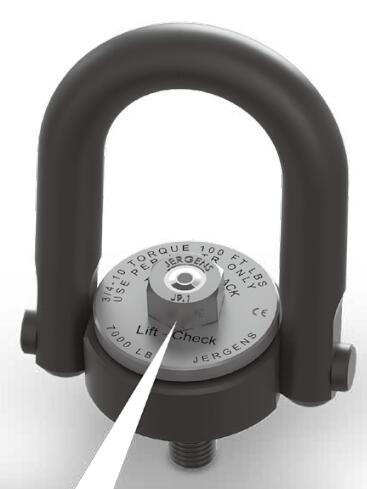 帶鎖緊檢測吊環